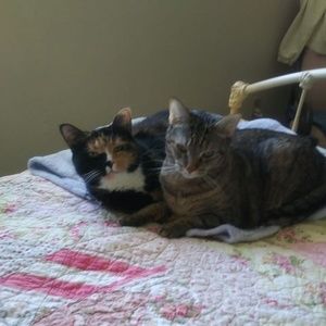 Meet your Posher, Mary ann